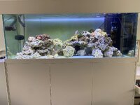IMG_7930.jpeg