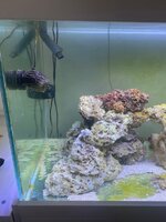 IMG_7934.jpeg