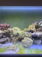 IMG_7935.jpeg