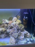 IMG_7936.jpeg
