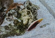 PXL_20260507_101251586~2.jpg
