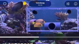 IMG_0226.jpeg