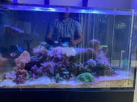 IMG_8074.jpeg