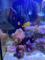 IMG_8075.jpeg