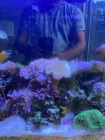 IMG_8076.jpeg