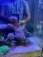 IMG_8077.jpeg