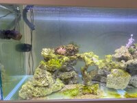 IMG_8079.jpeg