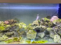 IMG_8080.jpeg