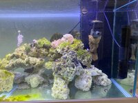 IMG_8081.jpeg