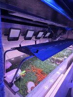 20260516_212121.jpg 20260516_212121.jpg
