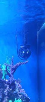 1000112698.jpg 1000112698.jpg