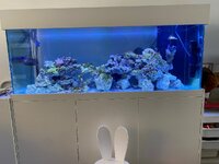 IMG_8126.jpeg