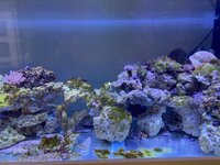 IMG_8128.jpeg