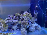 IMG_8129.jpeg