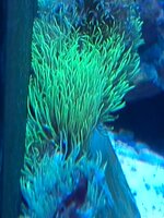 20260521_181258.jpg