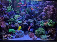 IMG_3919.jpeg