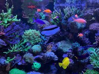 IMG_3920.jpeg