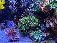 IMG_3923.jpeg