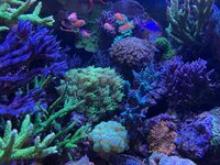IMG_3925.jpeg