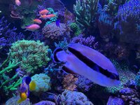 IMG_3926.jpeg