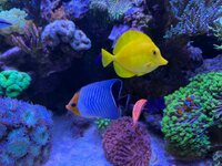 IMG_3927.jpeg