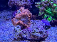 IMG_3969.JPG