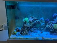 IMG_0028.jpeg