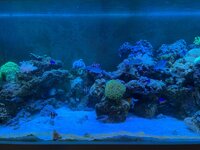 IMG_0029.jpeg