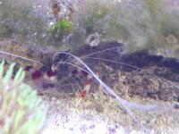 20260620_160937.jpg