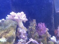 20260620_160017.jpg