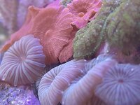 20260620_160739.jpg