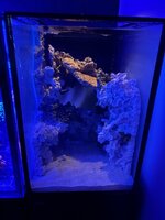 IMG_1191.jpeg