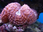 DSC00374 (Small).JPG