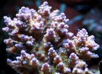 IMG_2766.JPG