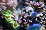 IMG_2775.JPG