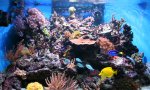 IMG_3268.JPG