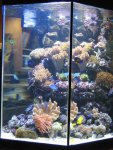 IMG_0822.JPG