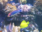 IMG_0836.JPG