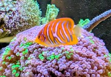 PXL_20260702_154611417.MP~2.jpg