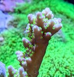 PXL_20260703_114605862.MP~2.jpg