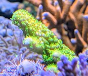 PXL_20260703_121246309.MP~2.jpg