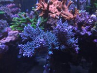 20260705_110733.jpg