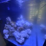 IMG_3563.jpeg