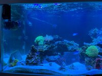 IMG_0067.jpeg