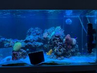 IMG_0068.jpeg