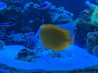 IMG_0071.jpeg