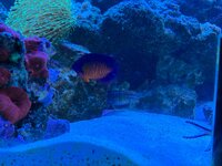 IMG_0075.jpeg