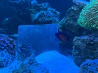 IMG_0076.jpeg