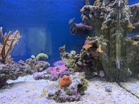 IMG_1873.jpeg