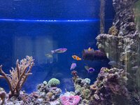 IMG_1874.jpeg